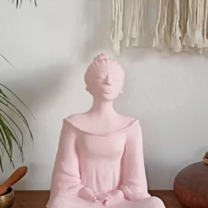 Hina Nuage Rose 6/24